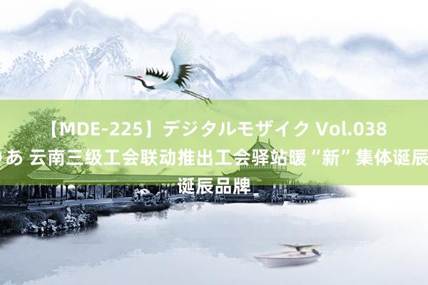 【MDE-225】デジタルモザイク Vol.038 ゆりあ 云南三级工会联动推出工会驿站暖“新”集体诞辰品牌