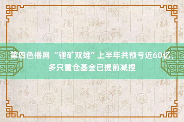 第四色播网 “锂矿双雄”上半年共预亏近60亿，多只重仓基金已提前减捏