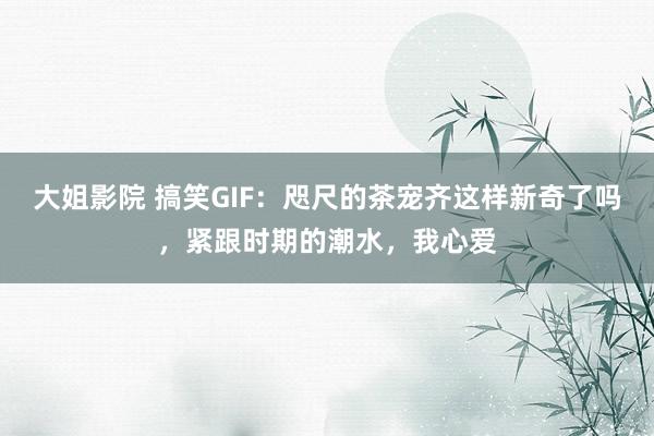 大姐影院 搞笑GIF：咫尺的茶宠齐这样新奇了吗，紧跟时期的潮水，我心爱