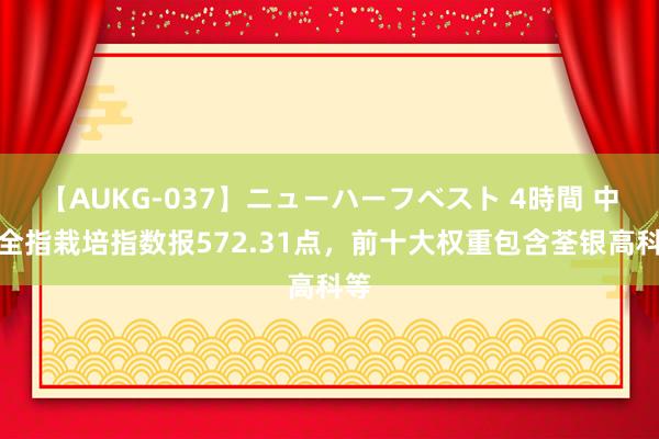 【AUKG-037】ニューハーフベスト 4時間 中证全指栽培指数报572.31点，前十大权重包含荃银高科等