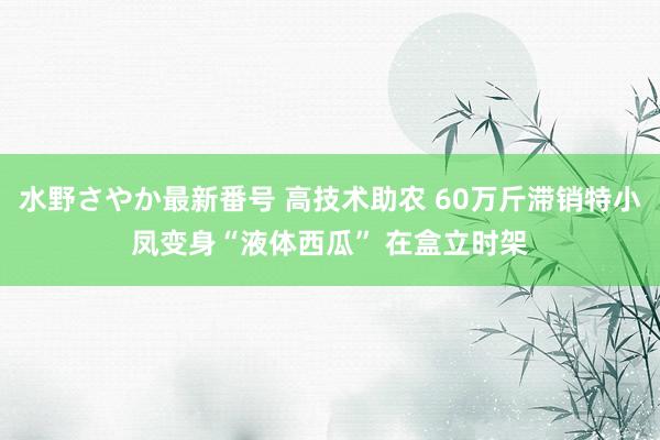 水野さやか最新番号 高技术助农 60万斤滞销特小凤变身“液体西瓜” 在盒立时架