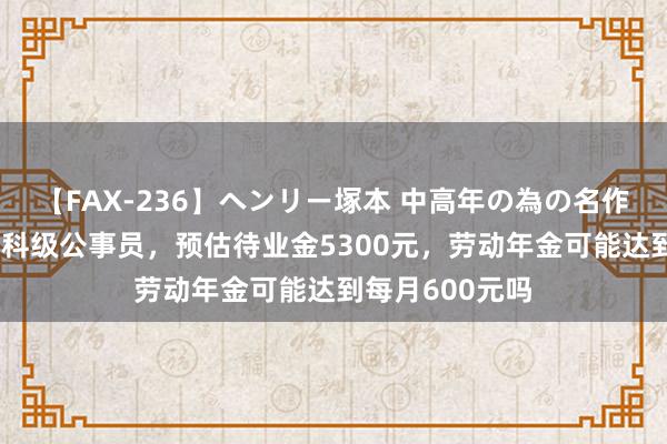 【FAX-236】ヘンリー塚本 中高年の為の名作裏ビデオ集 正科级公事员，预估待业金5300元，劳动年金可能达到每月600元吗