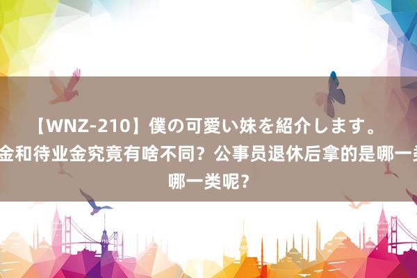 【WNZ-210】僕の可愛い妹を紹介します。 退休金和待业金究竟有啥不同？公事员退休后拿的是哪一类呢？