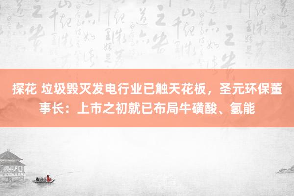 探花 垃圾毁灭发电行业已触天花板，圣元环保董事长：上市之初就已布局牛磺酸、氢能