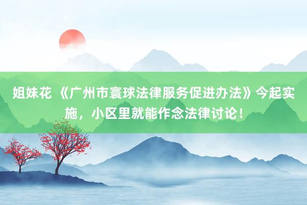 姐妹花 《广州市寰球法律服务促进办法》今起实施，小区里就能作念法律讨论！