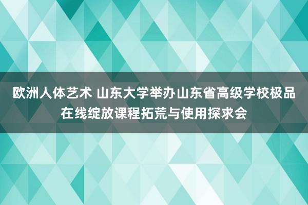 欧洲人体艺术 山东大学举办山东省高级学校极品在线绽放课程拓荒与使用探求会